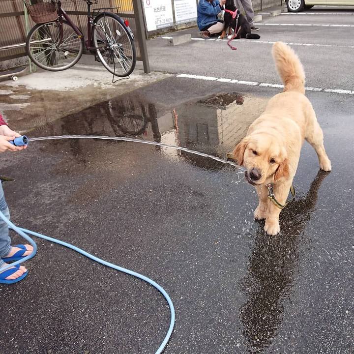 Cd86c103 9563 4659 963b 23ca27e1e25b 1522577103650