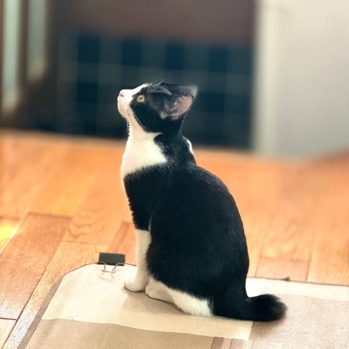 Cd86cb2b d0fe 45ff be08 8260437c7812 1731325671049