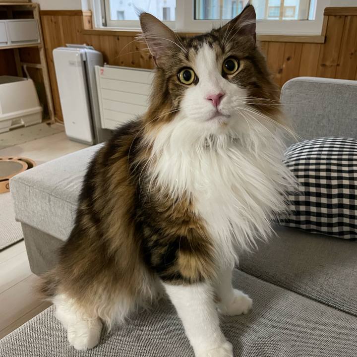 Cd86dd73 1842 454a a0cd 18231a2e2ec4 1658260363518