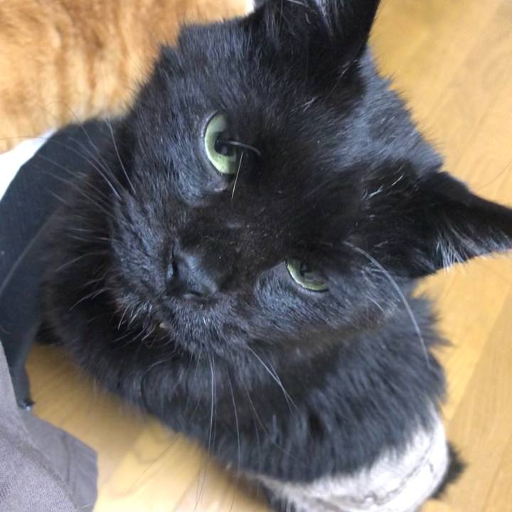 Cd86fcdf ce5c 4019 b855 cef410f1be37 1634631258035