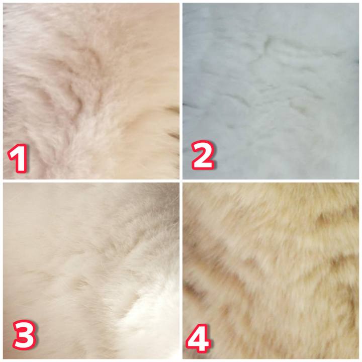 Cd86ff3c 845d 4732 8727 51991fe841e0 1615473472770