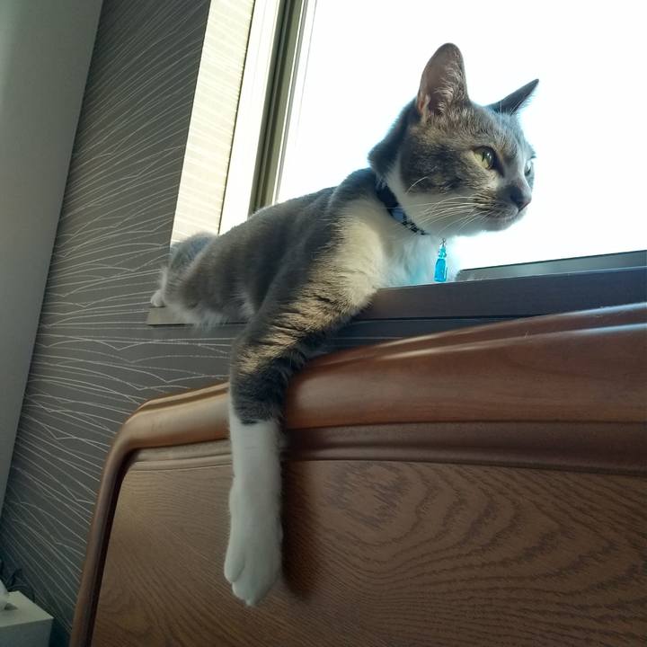 Cd87b22f 03c1 409f a1a7 932c6d520b12 1597444504880