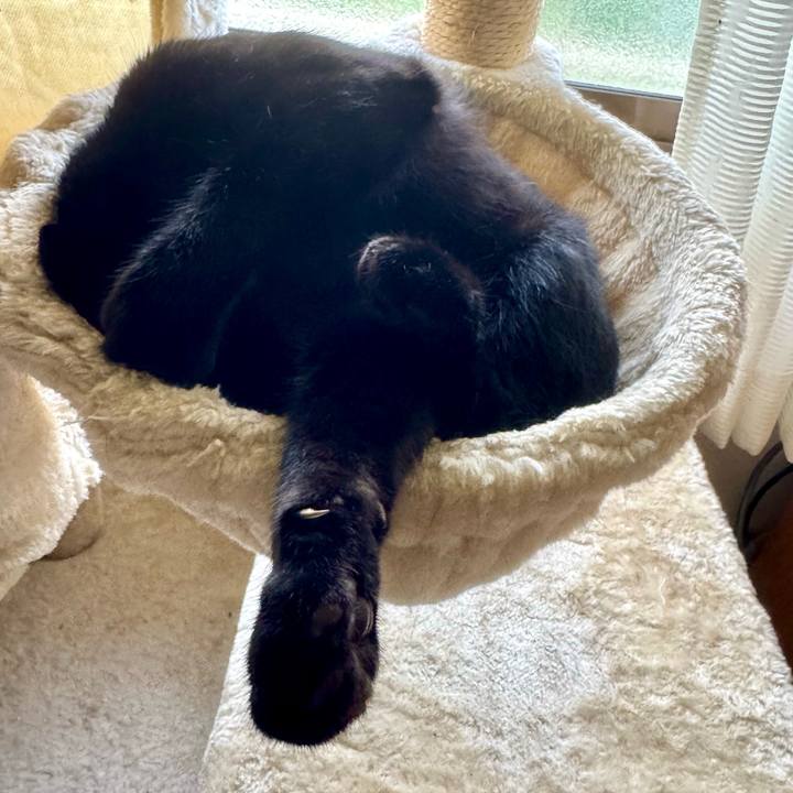 Cd87c36c 3779 4e67 983f 69e3e3bfa1cb 1755046452039