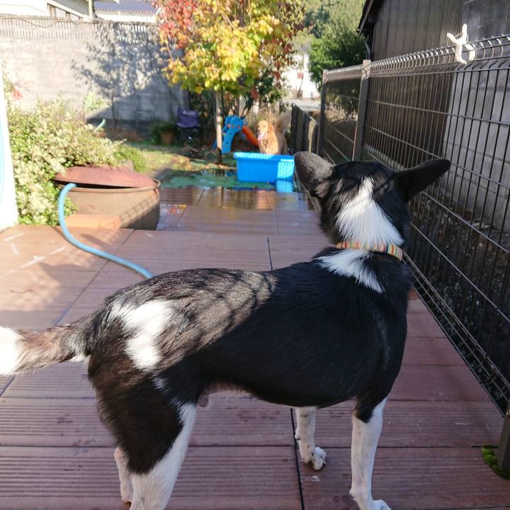 Cd87e0f5 766f 409a 84a8 c0bc64a1a8dd 1541413178671