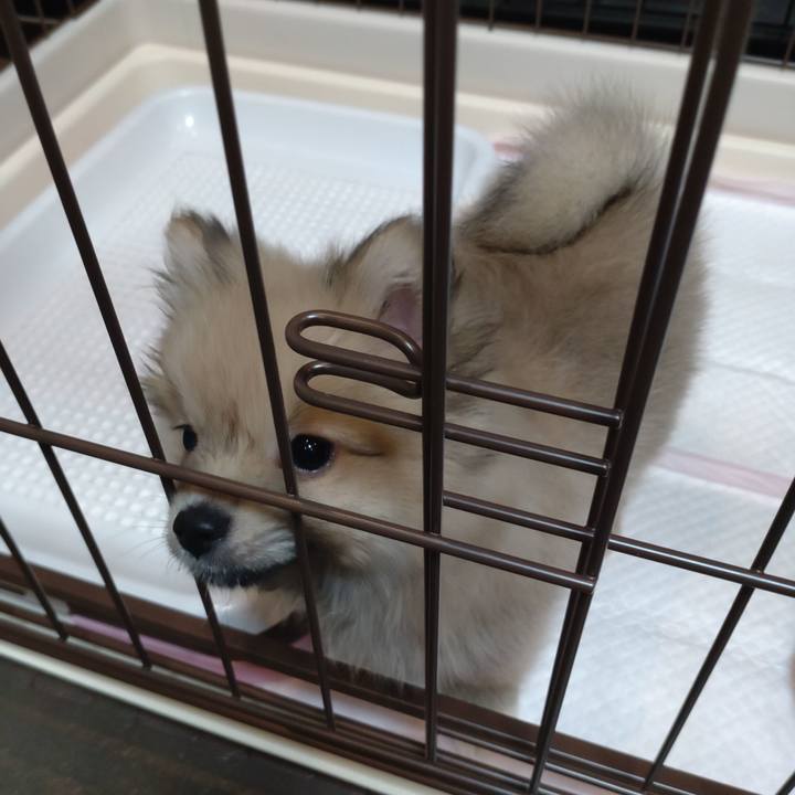 Cd87e39e 39b3 4ad1 b6e0 9995afad5790 1721198969209