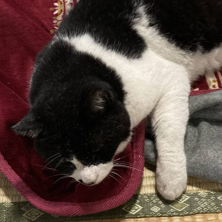 Cd87fa12 e87d 4d97 87cf 14ac12199da3 1625216926682