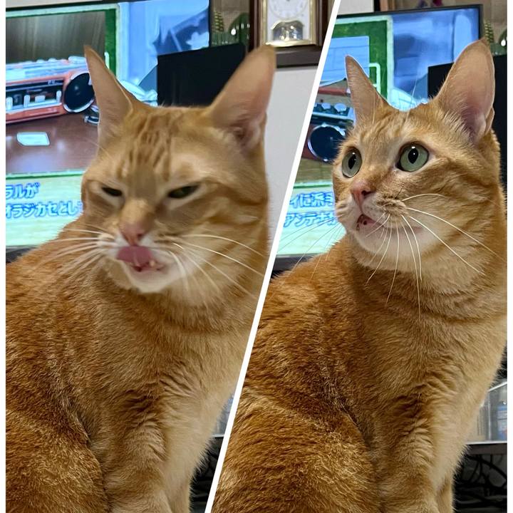 Cd880495 3310 4471 bad2 f9a10b71d58a 1666561964144