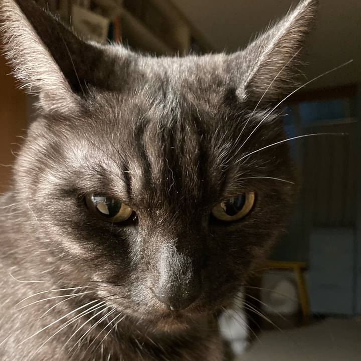 Cd883b75 b86f 4f45 aeab 148d208187ea 1760357640751