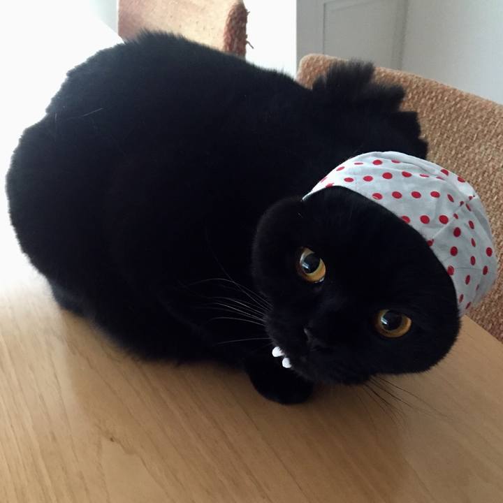 Cd884c4d 5470 4253 b7ef 50d99e4ffe27 1513382199656