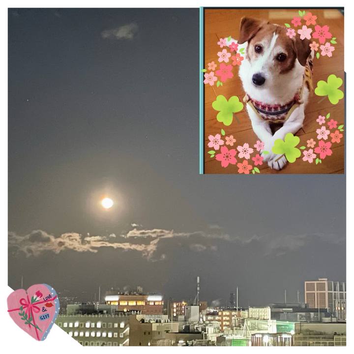 Cd886f0c 181d 4e21 9725 2f597aaabcb0 1739440486416