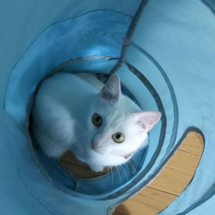 Cd888469 6287 483e b161 7bc720191560 1627429851235