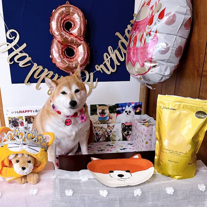 Cd88a4ff 3981 4e0a 96cf 1e31516c8df5 1667706447625