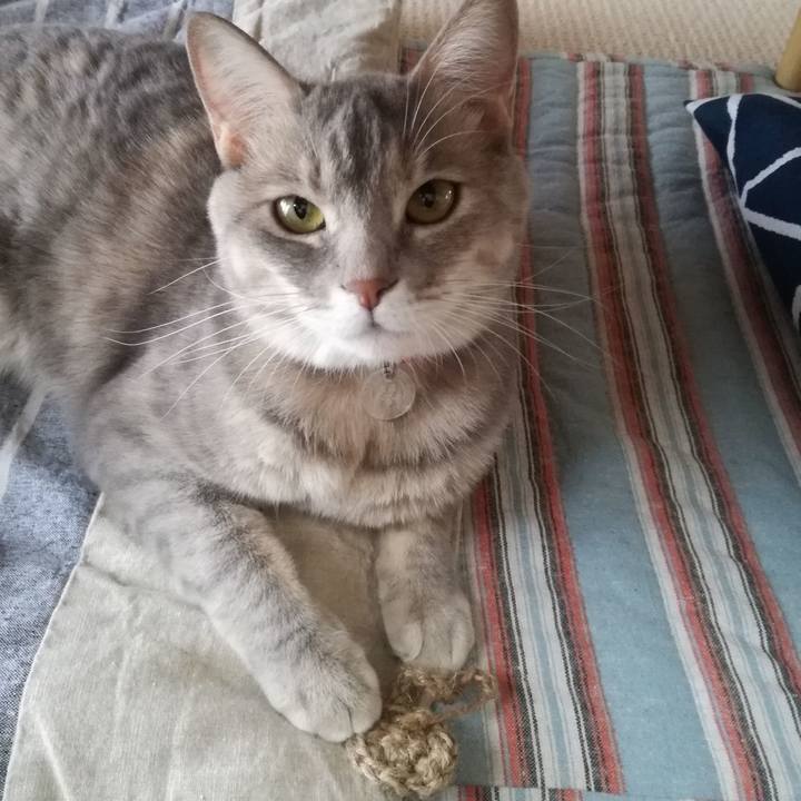 Cd88a7dc a772 4cea b29d 43f69d331b42 1509779815309