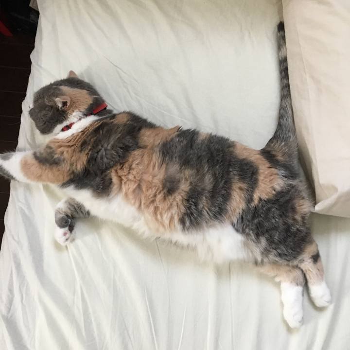 Cd88e4d0 305b 439e b35f ab9c118b75cd 1586426268708