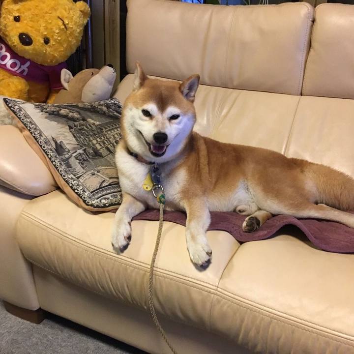 Cd88e67f 2a34 4393 98ed 8306cd31bcde 1570018560284