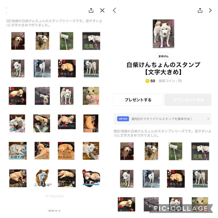 Cd8904f7 00f1 4feb 993a c34f07018f8b 1647862562914