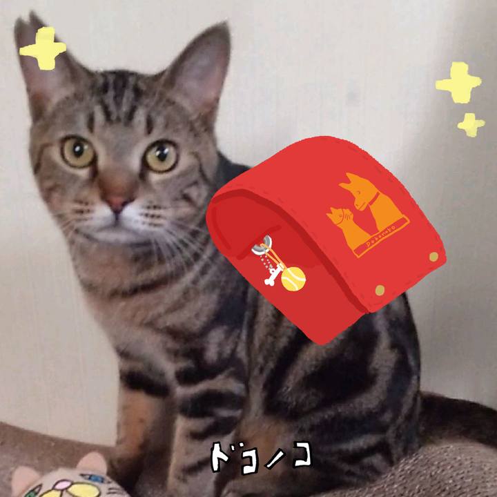 Cd890a9d 278c 4488 9799 d0c9a69e34d4 1744282259926