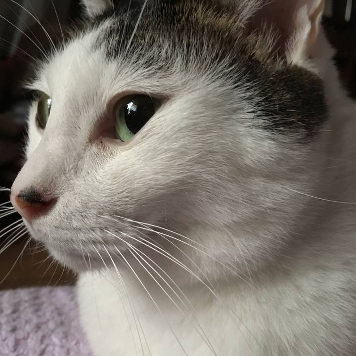 Cd891b6b 3ab9 4e67 8edb bd596995e589 1559702033231