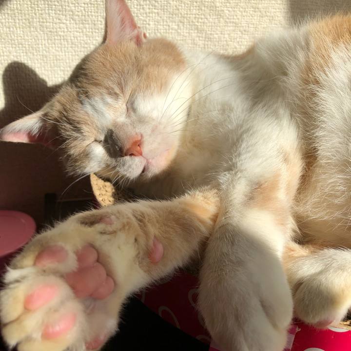 Cd894d4b de79 4c03 9ef1 8b59cf4cb8f5 1511055336739