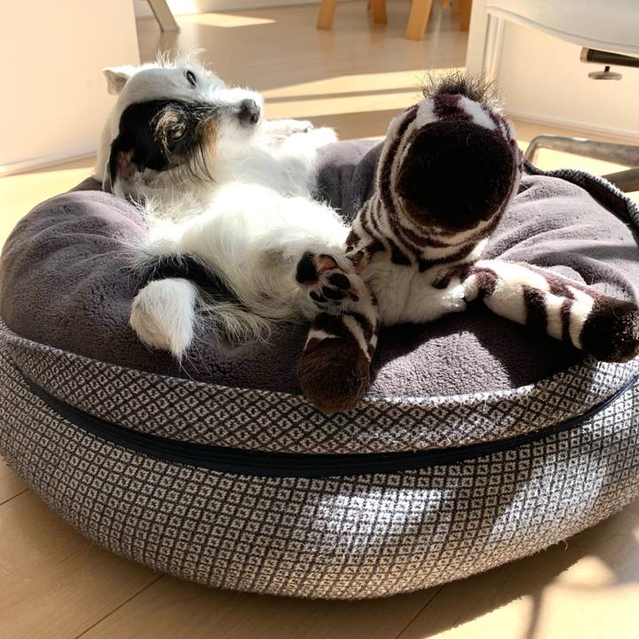 Cd895517 1bbe 450c 9caa 36bba73e345e 1680063684310