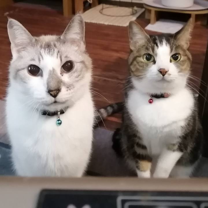 Cd898c8d a027 4248 ba33 73f2cecd70bc 1606795165877