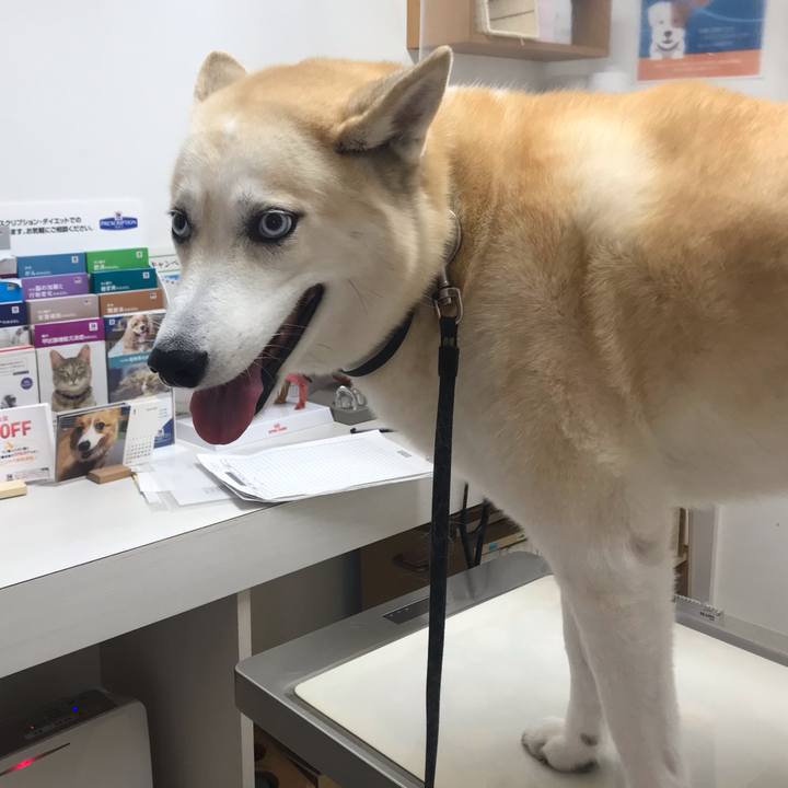 Cd898f02 2ab7 4843 885b 9180f1e68ce0 1638407963460