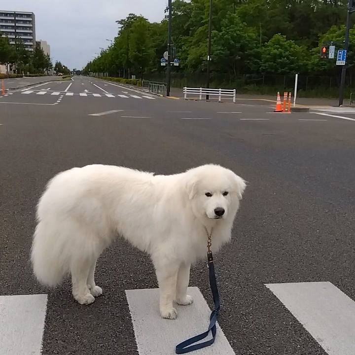 Cd89cb62 9e4d 4d56 baef ae9a08d99213 1684455891510