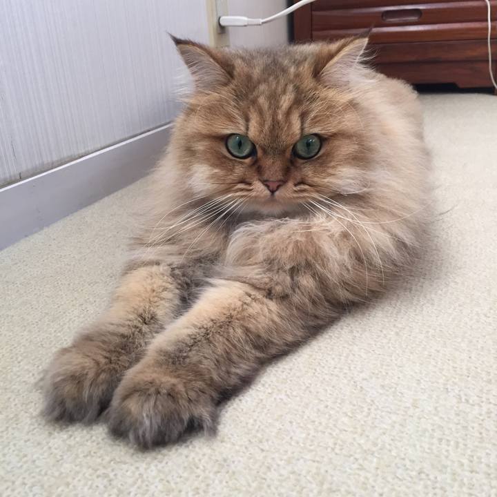 Cd8a2302 2b6e 4f3a 9851 1b8de087ed62 1522386072813