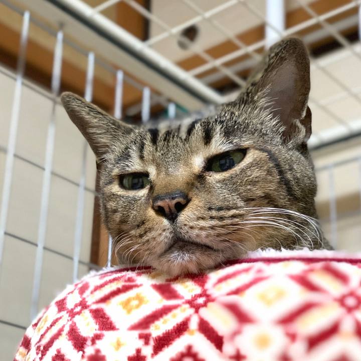 Cd8a3dcf 87f6 4214 acd4 261ecc60b3ee 1579656290832