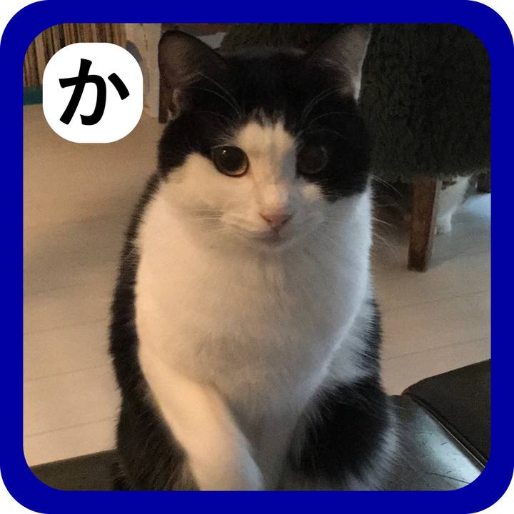 Cd8a47d7 93d1 4bf4 b8b4 8070352a5b9e 1514958273280