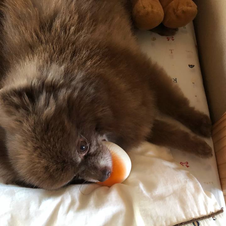 Cd8a51c2 110c 40ef a4de bdd835575886 1546316327913