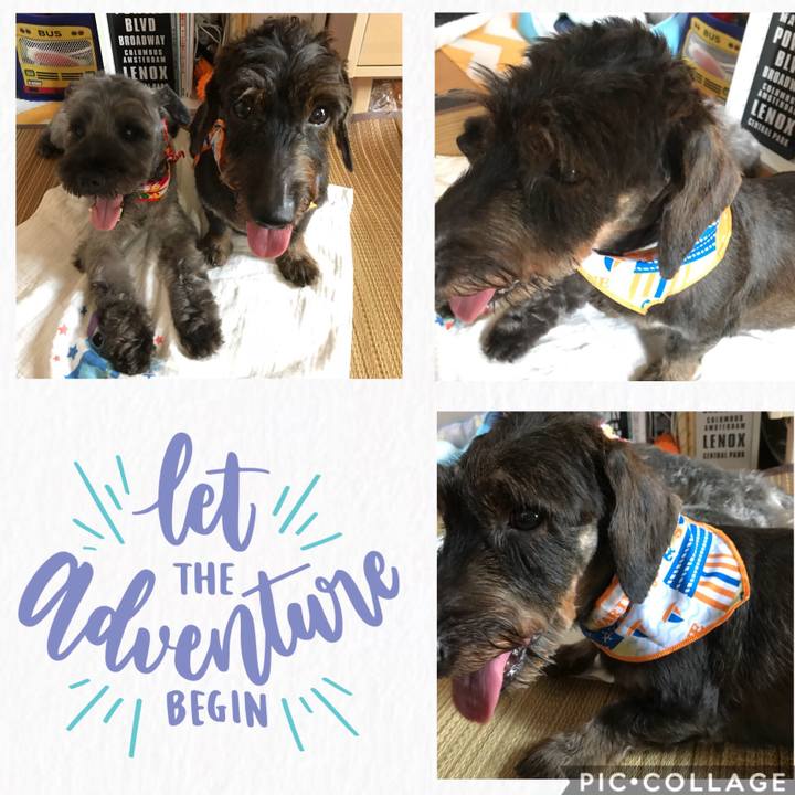 Cd8a8869 86b2 465c 9f2e 54bc55b6d8d7 1533369362610