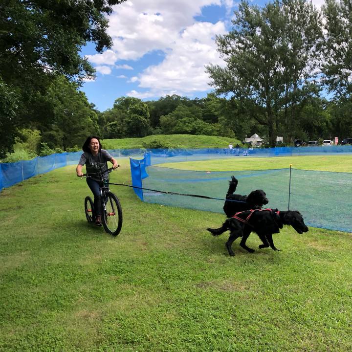 Cd8aaa34 5930 4458 8561 1d0ac9d4116a 1560678130657