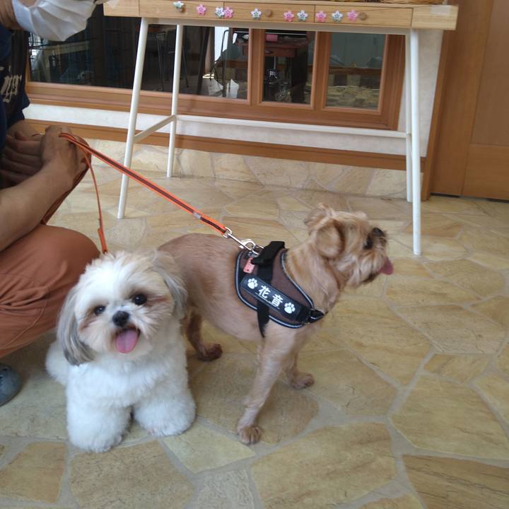 Cd8ae578 bfaa 4ab8 906d ec241e00be31 1622379538685