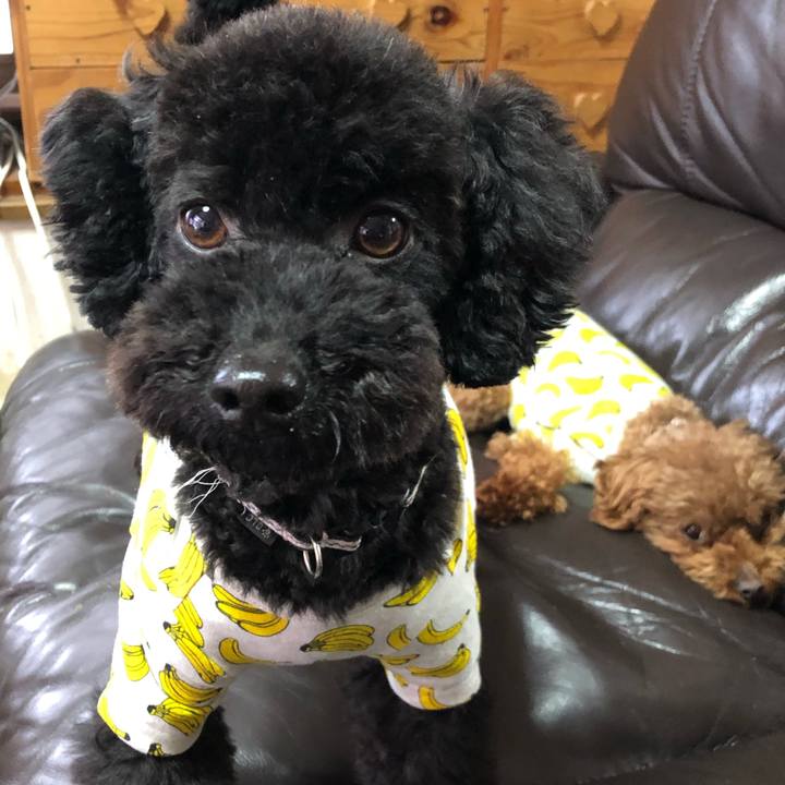 Cd8af0a6 b414 4424 98fd 3846c287dcff 1554070191614