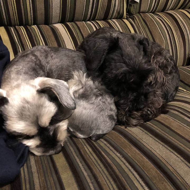 Cd8b1828 fabf 4faf a82b 240d9820a91f 1521589920743