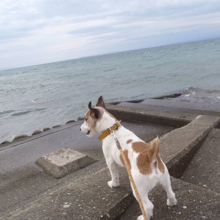 Cd8b3755 270f 48a6 b73e b472087fd0c3 1512916205785