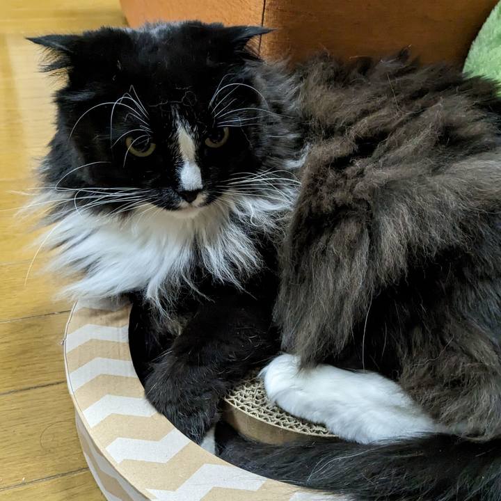 Cd8b61e1 3510 4d17 aa94 1dcd5096ebd3 1679223218827