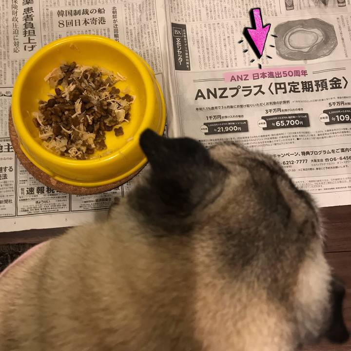 Cd8b82ce c437 4bb4 bc0f b9e7c0677c23 1567084656979