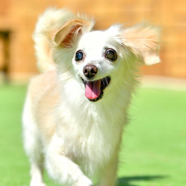 Cd8bbf92 d1d4 4f9d b18b 2220ae105f37 1728884457933