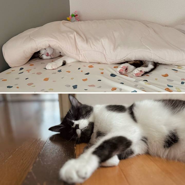 Cd8bf2ec 2c2b 4dd6 ae5d 58843b7e4766 1758173084377