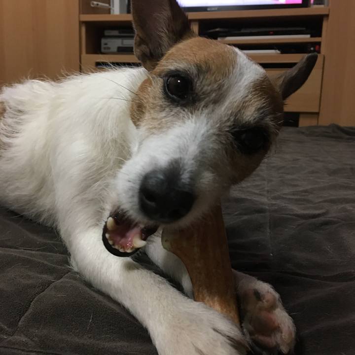 Cd8bf5d2 a34f 4ae5 a538 97daebd5de1d 1559273307459