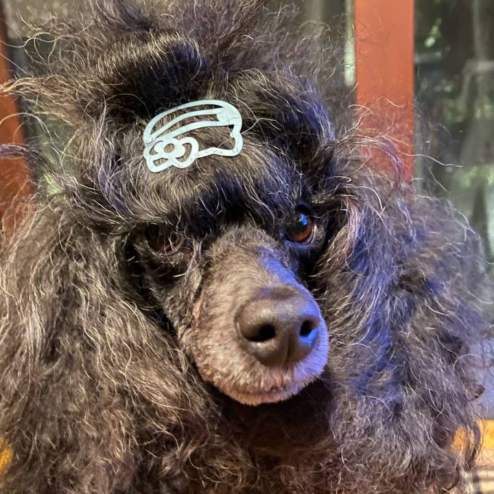 Cd8bf947 16bd 4bd7 bab4 201dad9838ff 1681623684508