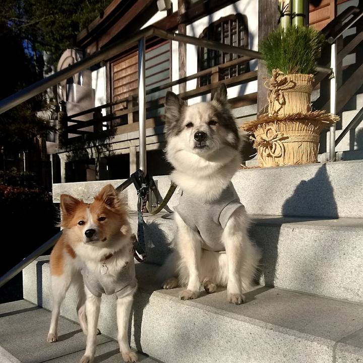 Cd8c18bc f1d8 4fa0 b78b af3e4cdbdc59 1515154768941