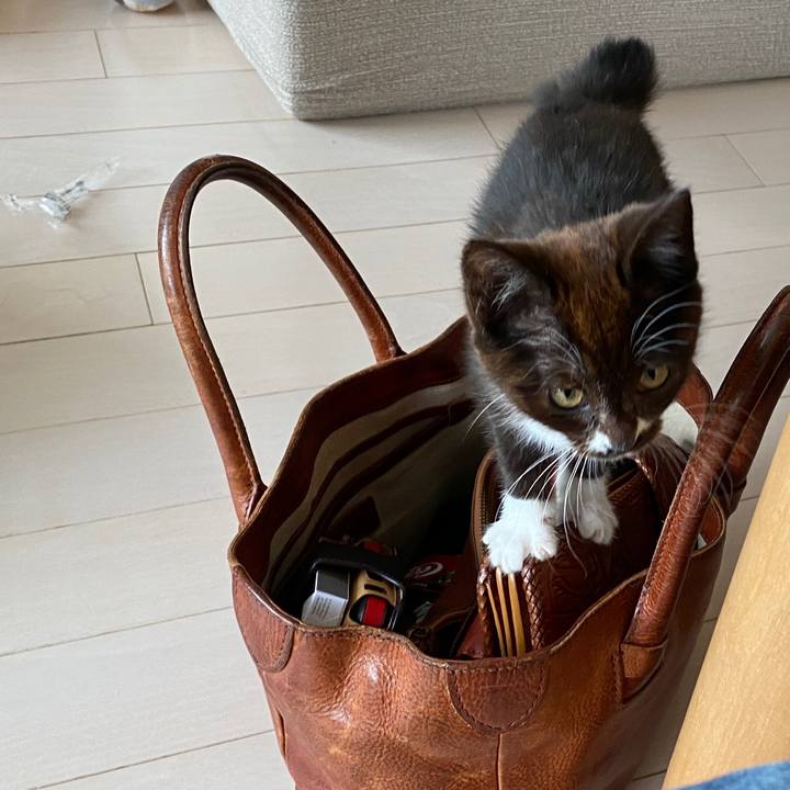 Cd8c1f3e 9fcc 48a4 8285 a22781670367 1578130508842