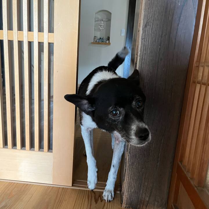 Cd8c4969 db85 4c44 87c5 77e3d7894b52 1688343246450