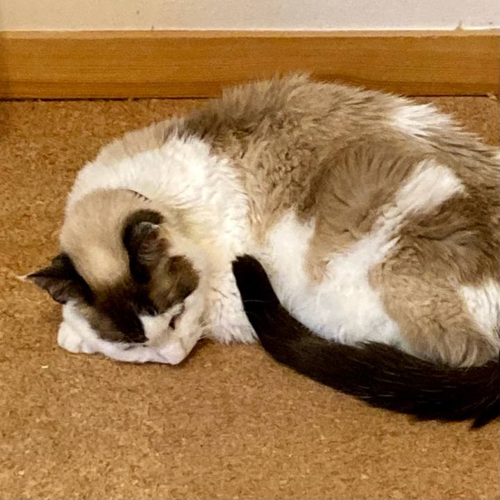 Cd8cbbae e771 4c66 9a63 8a9aaaf11629 1679316418543