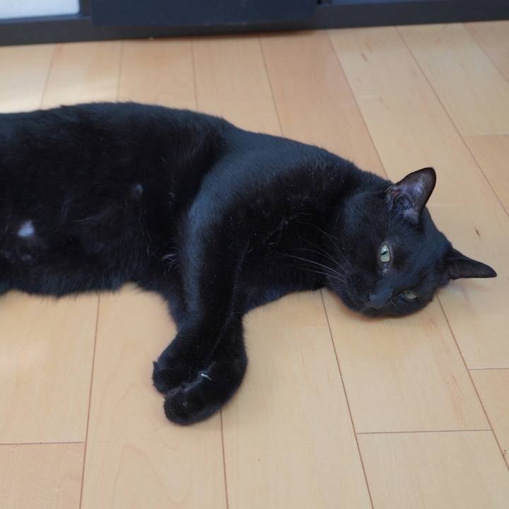 Cd8cfd94 e71c 4e84 97d7 87e6ee528ddb 1597189782217