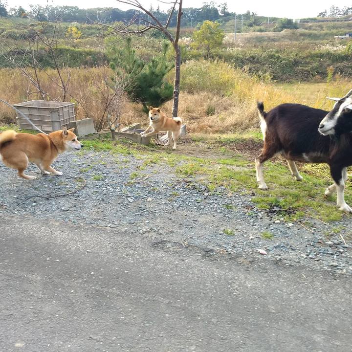 Cd8d5f01 581b 4349 848d 18426fa26d89 1543269206809