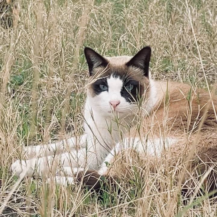 Cd8d7258 087d 493b 94b0 05c393e0fc78 1742958488618